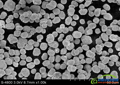 第一电动网新闻图片