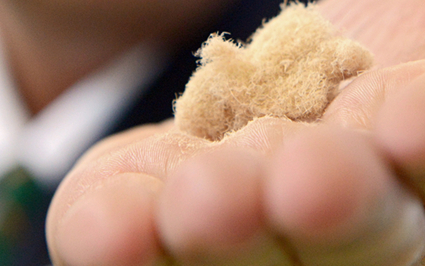 搜狗截图15年10月22日0928_3