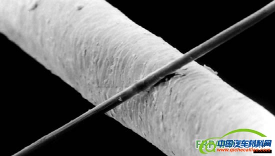 上面为直径6微米的碳纤维与下面人类头发的比较