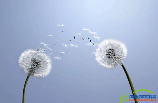 一次成型全塑车身