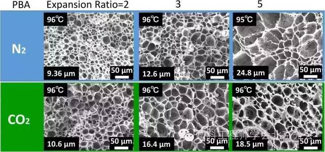 图2 芯后泡沫注塑制品的芯层扫描电子显微镜图像 