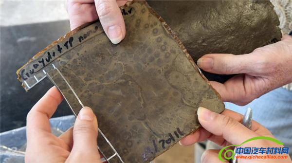 技术解析，轮胎，番茄皮鸡蛋壳造轮胎,食品垃圾替代炭黑