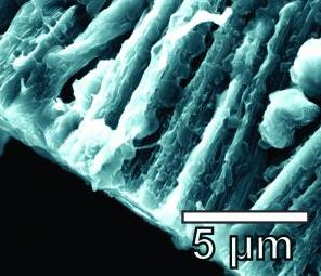 黑科技，前瞻技术，石墨烯碳纳米管电极,新阳极破解树突难题,莱斯大学新电池阳极,莱斯大学研发新电池