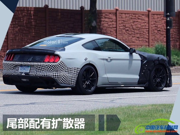 福特新野马将搭大排量发动机 动力超保时捷911-图6