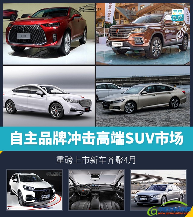 新车,自主品牌，SUV