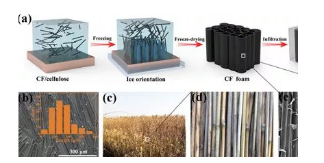微信截图_20190702083714