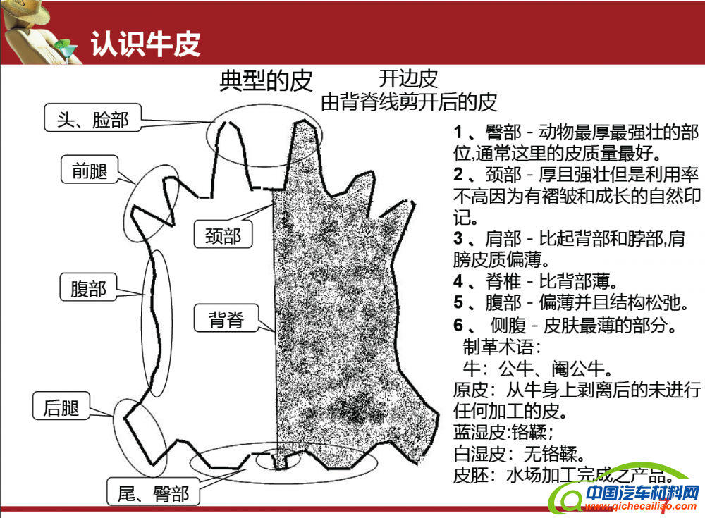 QQ截图20200226221003