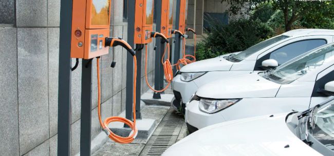 thumb_650_305_1583997826183