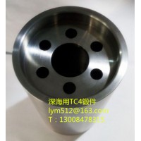 耐腐蚀深海用钛合金锻件