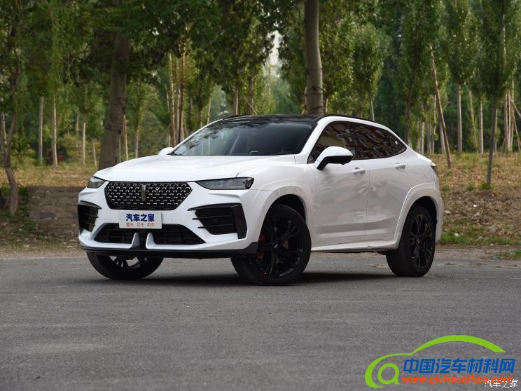 特斯拉中国 Model 3 2019款 标准续航后驱升级版