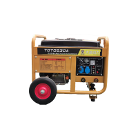 大泽动力250A汽油发电电焊机