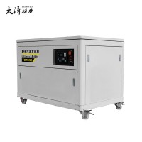 大泽动力40千瓦汽油发电机