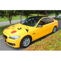 宝马全车贴膜枫叶黄拉花皮丘卡贴纸TeckWrap车膜长沙贴膜