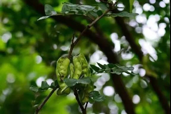 微信图片_20220121133514