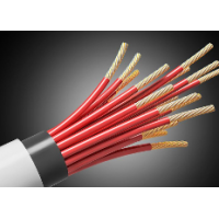 莱尼：FLUY超薄壁汽车电缆