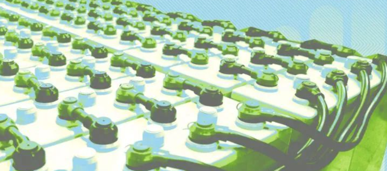 QQ截图20240430125618