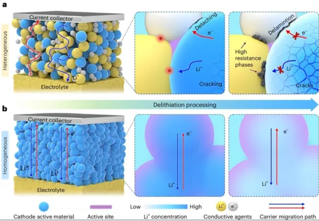 QQ截图20240801153106