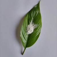 偶联剂改性纳米氧化铝粉末 氧化铝水分散液  