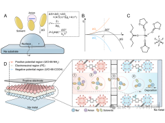 东华大学创新非对称隔膜突破钠金属电池快充瓶颈