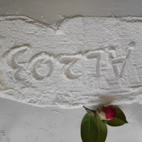 纳米级塑料专用耐磨20纳米三氧化二铝CY-L03S