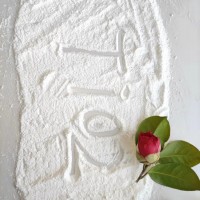 化妆品专用金红石钛白粉30nm二氧化钛 CY-T02H T02SG